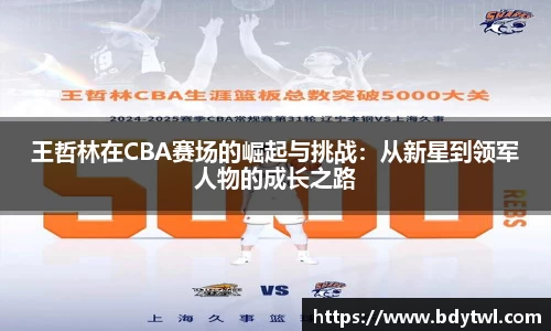 王哲林在CBA赛场的崛起与挑战：从新星到领军人物的成长之路